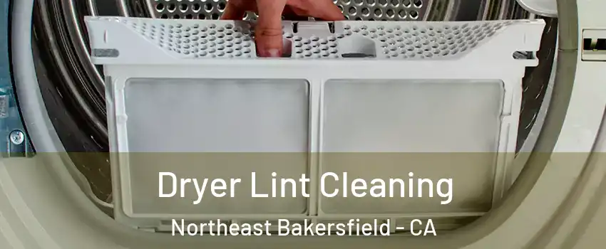 Dryer Lint Cleaning Northeast Bakersfield - CA