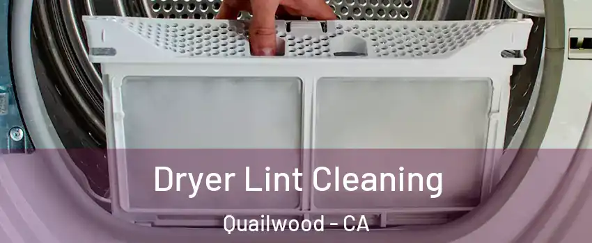 Dryer Lint Cleaning Quailwood - CA