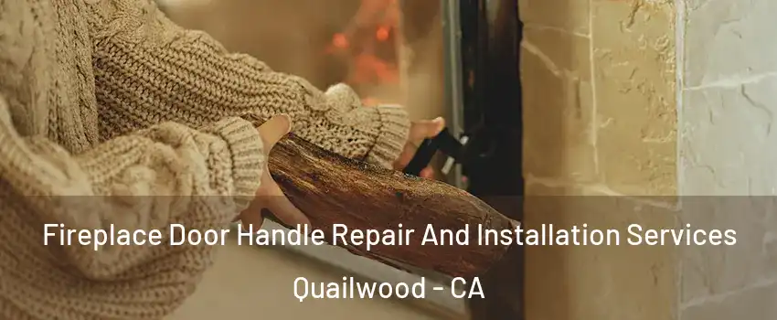 Fireplace Door Handle Repair And Installation Services Quailwood - CA