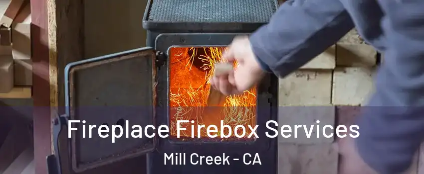 Fireplace Firebox Services Mill Creek - CA