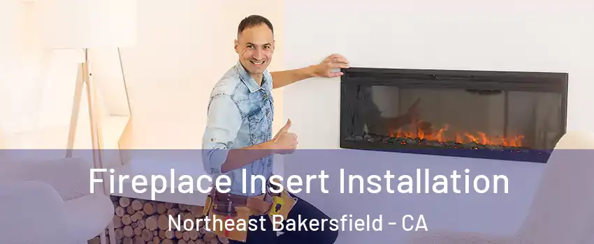 Fireplace Insert Installation Northeast Bakersfield - CA