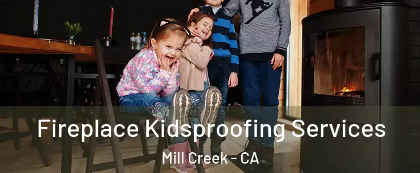 Fireplace Kidsproofing Services Mill Creek - CA
