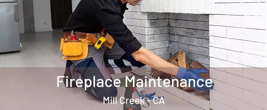 Fireplace Maintenance Mill Creek - CA