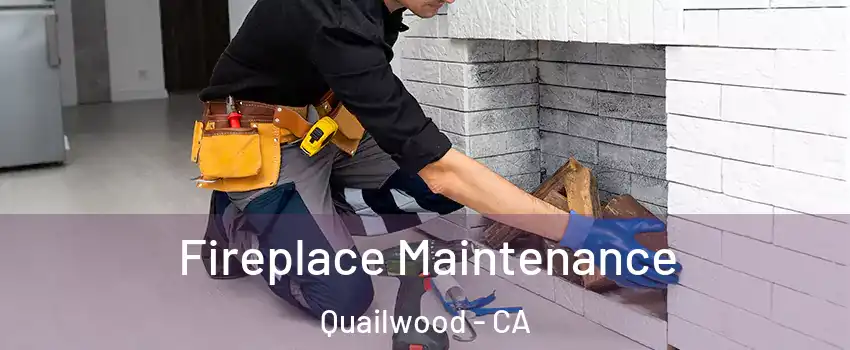 Fireplace Maintenance Quailwood - CA