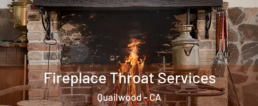 Fireplace Throat Services Quailwood - CA