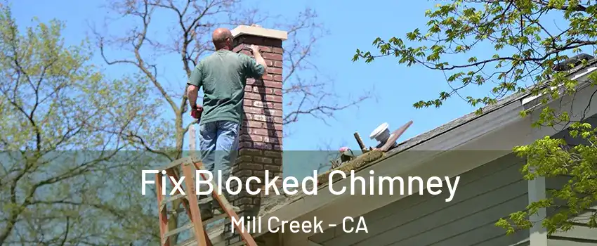 Fix Blocked Chimney Mill Creek - CA