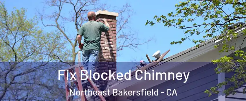 Fix Blocked Chimney Northeast Bakersfield - CA