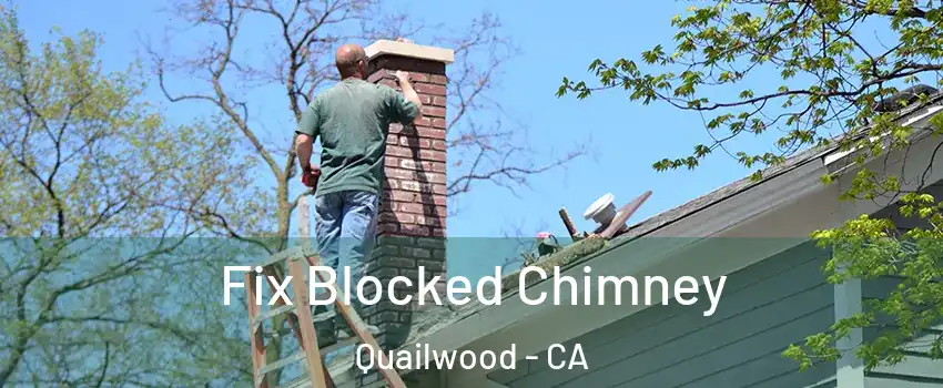 Fix Blocked Chimney Quailwood - CA