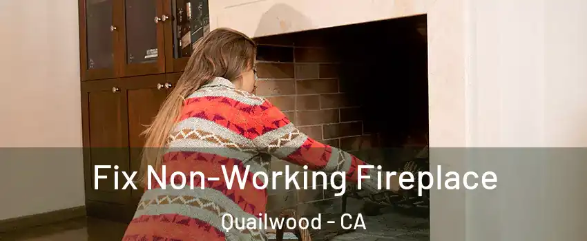 Fix Non-Working Fireplace Quailwood - CA
