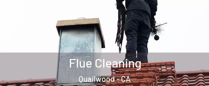 Flue Cleaning Quailwood - CA