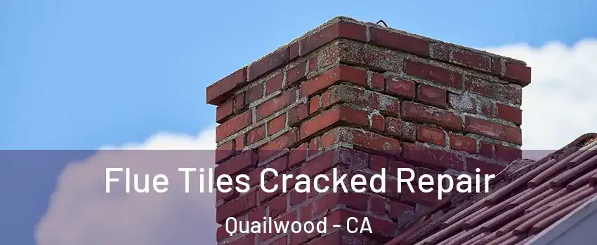 Flue Tiles Cracked Repair Quailwood - CA