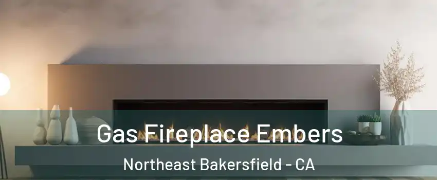 Gas Fireplace Embers Northeast Bakersfield - CA