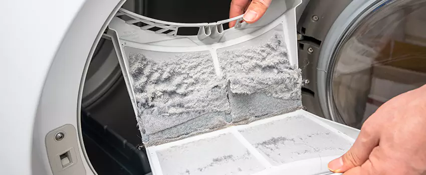 Best Dryer Lint Removal Company in East Bakersfield, California