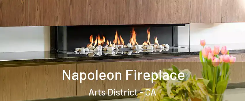 Napoleon Fireplace Arts District - CA
