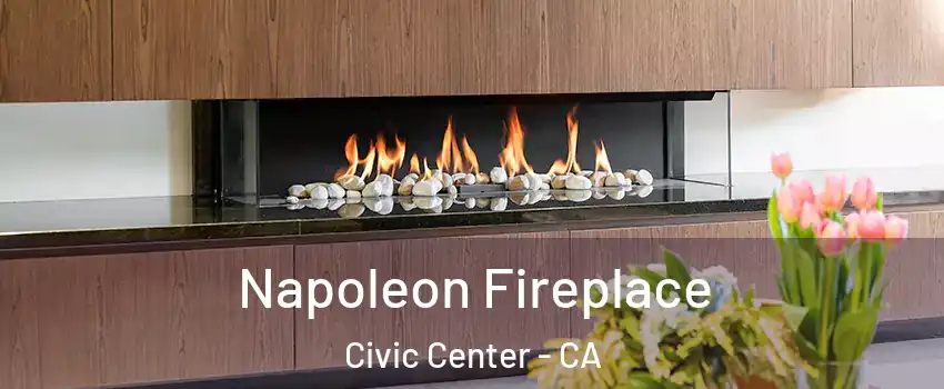 Napoleon Fireplace Civic Center - CA