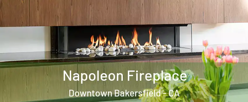 Napoleon Fireplace Downtown Bakersfield - CA