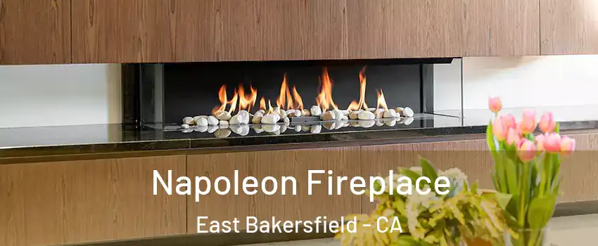 Napoleon Fireplace East Bakersfield - CA