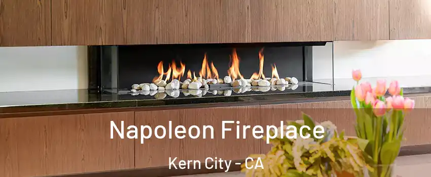 Napoleon Fireplace Kern City - CA