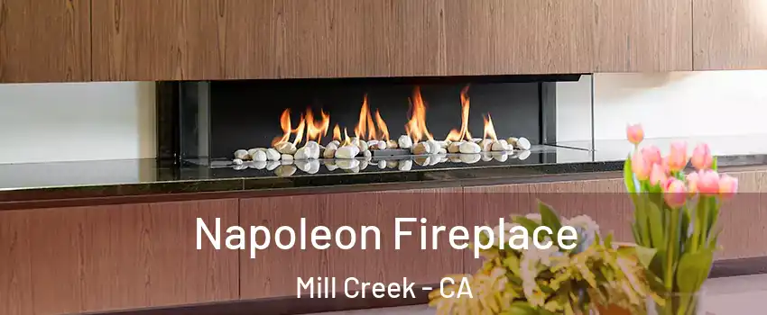 Napoleon Fireplace Mill Creek - CA
