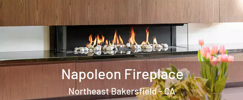 Napoleon Fireplace Northeast Bakersfield - CA