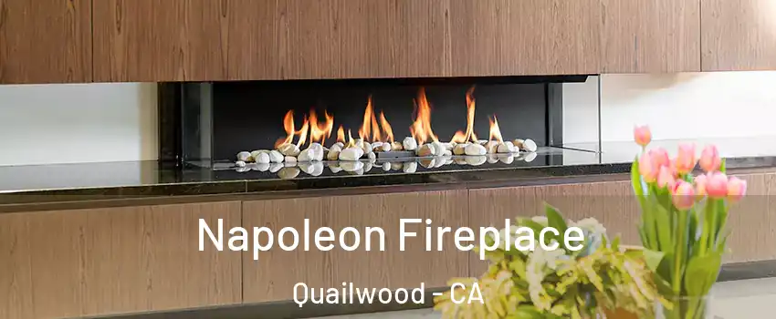 Napoleon Fireplace Quailwood - CA