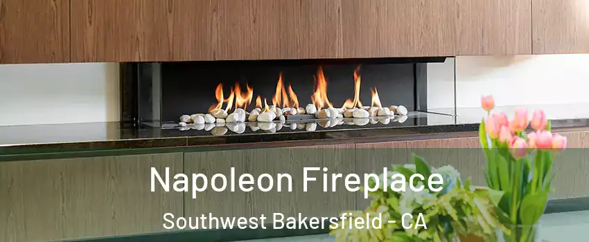 Napoleon Fireplace Southwest Bakersfield - CA