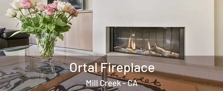 Ortal Fireplace Mill Creek - CA