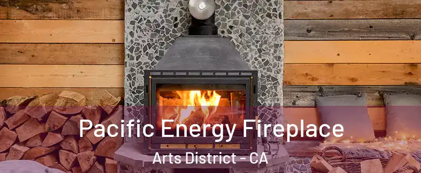 Pacific Energy Fireplace Arts District - CA